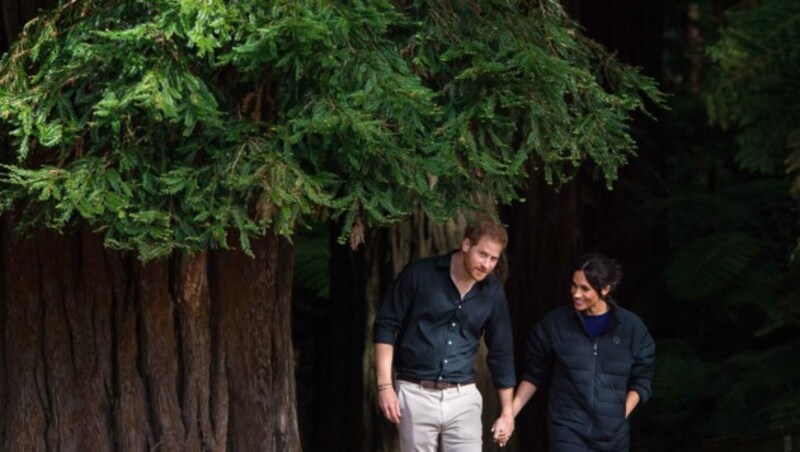 Prinz Harry und Herzogin Meghan bei einem Waldspaziergang in Neuseeland (Bild: Dominic Lipinski / PA / picturedesk.com)