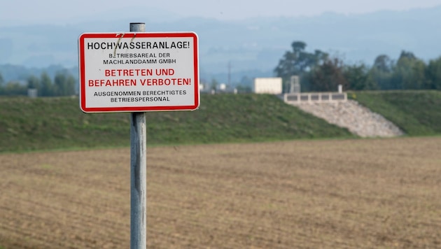 Beim Machland-Damm werden durch Biber verursachte Schäden von 3 Millionen € befürchtet. (Bild: Kerschbaummayr Werner)