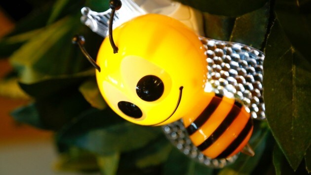 Die Biene als Therapeutin und für die Kosmetik. (Bild: Gerhard Schiel)
