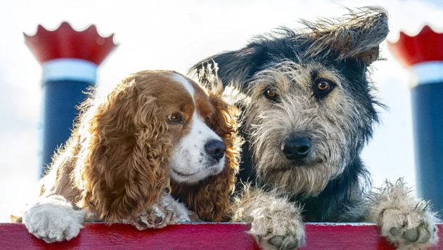 Susi und Strolch (Bild: Disney)