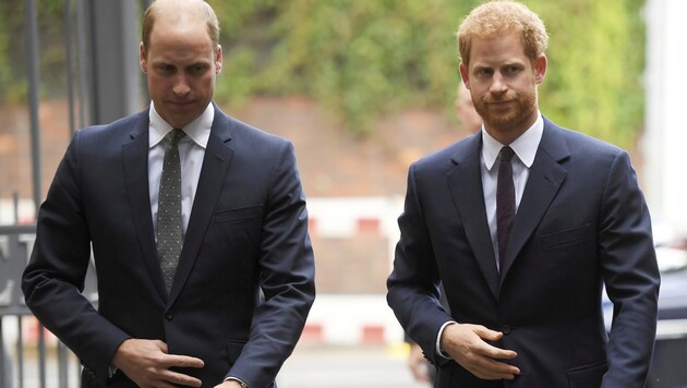 Prinz William und Prinz Harry (Bild: AP)