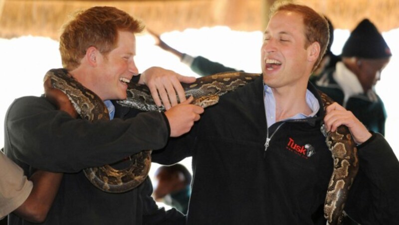 Prinz Harry und Prinz William im Jahr 2010 (Bild: Anthony Devlin / PA / picturedesk.com)