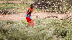 Ein Bub des Samburu-Volkes im Norden Kenias beim aussichtslosen Kampf gegen die Heuschrecken (Bild: AP)