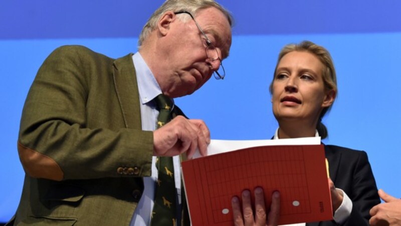 Das AfD-Führungsduo Gauland und Weidel (Bild: APA/AFP/CHRISTOF STACHE)