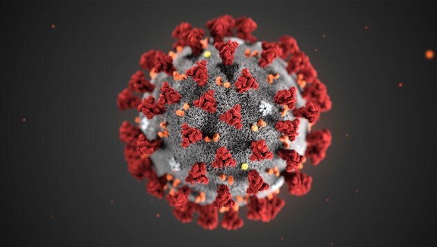 Illustration des Coronavirus (Bild: AP)