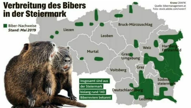 (Bild: Krone-Grafik)