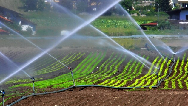 Ohne neue Bewässerungskonzepte wird’s nicht gehen. Die Zahl der Regentage nimmt in der Steiermark kontinuierlich ab. (Bild: Christof Birbaumer)