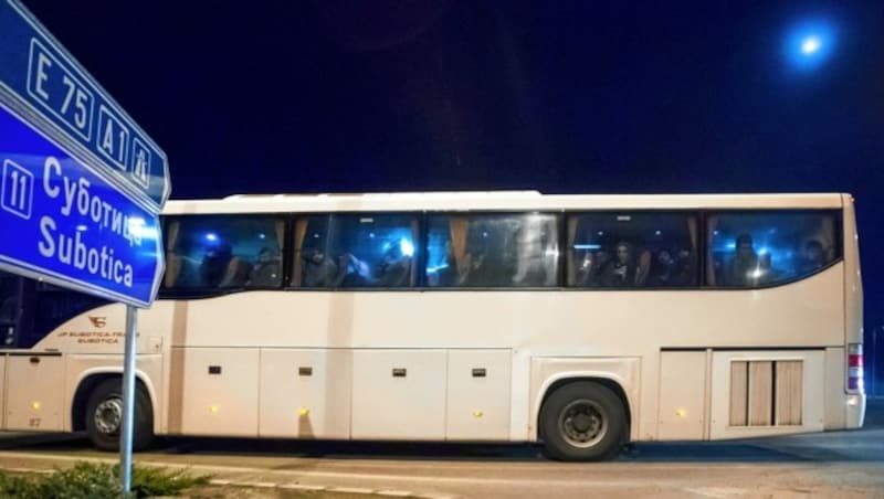 Mit Bussen wurden die protestierenden Migranten wieder von der serbisch-ungarischen Grenze weggebracht. (Bild: EPA)