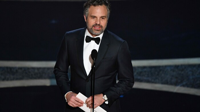 Hulk-Darsteller Mark Ruffalo („Poor Things“, „Shutter Island“) ist ein bekannter politischer ...
