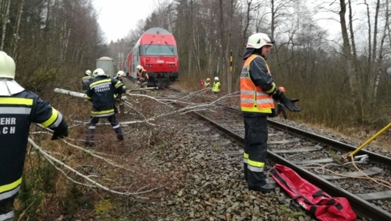 (Bild: APA/FF PÜRBACH)