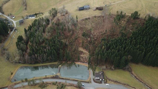 Wie Mikadostäbe wurden die Bäume im oberösterreichischen Sarleinsbrach umgeworfen. (Bild: Leserreporter)
