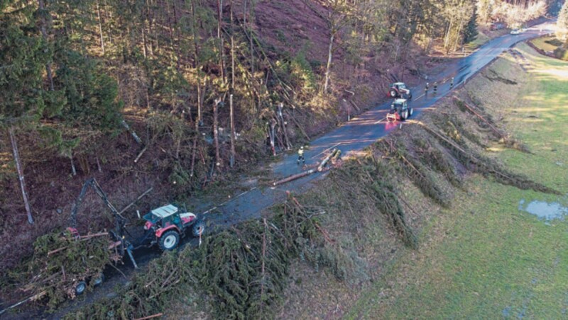 Zahlreiche Einsätze nach Sturm. Bilder aus Hühnergeschrei eine Ortschaft der Gemeinde Altenfelden wo zahlreiche Bäume Straßen unpassierbar waren. (Bild: FOTOKERSCHI.AT / KERSCHBAUMMAYR)