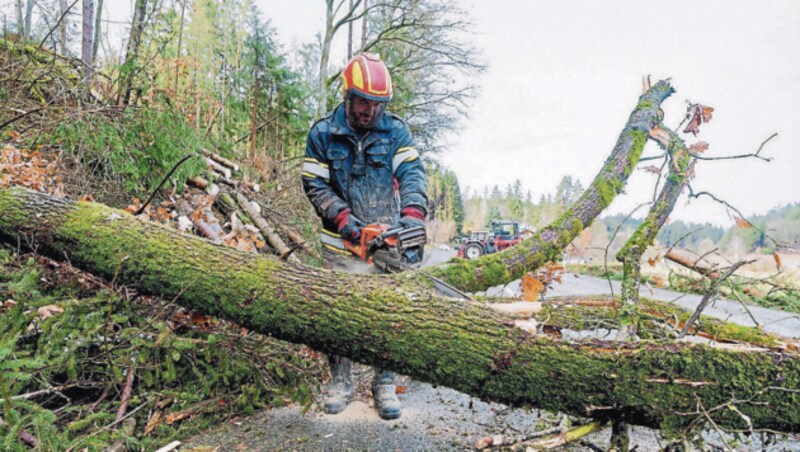 Zahlreiche Einsätze nach Sturm. Bilder aus Hühnergeschrei eine Ortschaft der Gemeinde Altenfelden wo zahlreiche Bäume Straßen unpassierbar waren. (Bild: FOTOKERSCHI.AT / KERSCHBAUMMAYR)