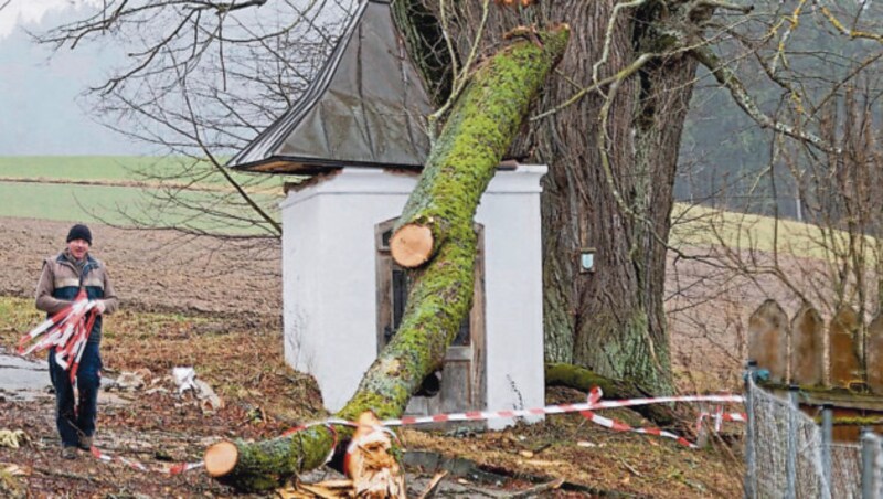 Bäume, die wie Zahnstocher brechen: Ein Video aus Sarleinsbach zeigt die volle Kraft von "Sabine"
"Es ist ein Wahnsinn! Drei, vier Bäume auf einmal". Die Szenen, die in einem Video aus Sarleinsbach (Bezirk Rohrbach) zu sehen sind und von Augenzeugen kommentiert wurden, verbreiteten sich heute Vormittag wie ein Lauffeuer im Internet: Oberhalb des Fischteichs Löschmühle fegte Sturmtief Sabine durch ein Waldstück- und hinterließ nach wenigen Sekunden eine Spur der Verwüstung. (Bild: FOTOKERSCHI.AT / KERSCHBAUMMAYR)