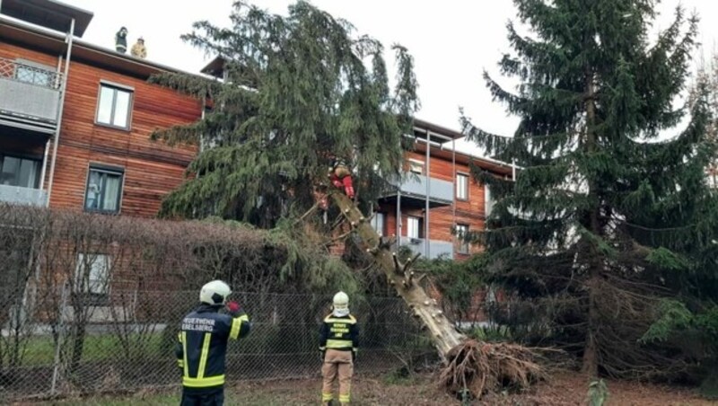 Einsatz im Linzer Stadtteil Oedt. (Bild: FF Ebelsberg)