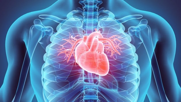 Herzrhythmusstörungen erhöhen das Risiko für Schlaganfall. (Bild: yodiyim/stock.adobe.com)