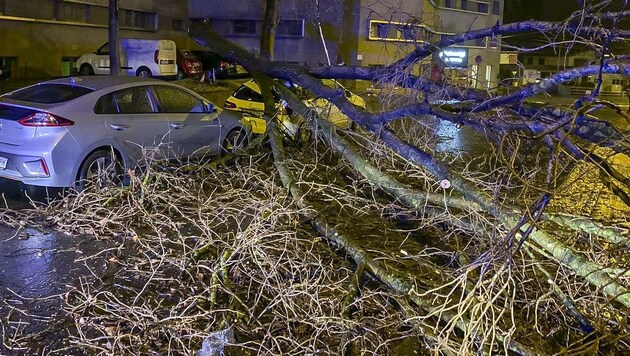 Ein Baum fiel in der Ignaz-Härtl-Straße auf ein geparktes Auto (Bild: Tschepp Markus)