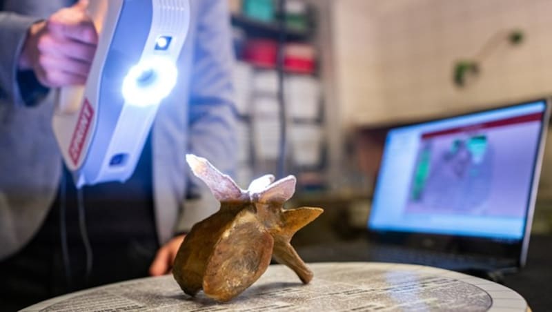 Mit einem Strukturlichtscanner werden Überreste des Plateosaurus gescannt. (Bild: APA/Georg Hochmuth)