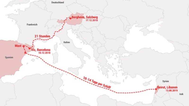 Der qualvolle Weg der Kälber (Bild: VGT)