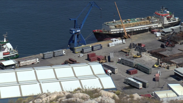 Am Hafen von Cartagena, Spanien werden die Rinder verschifft. (Bild: Animal Welfare Foundation)