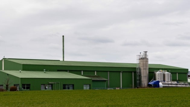 Der Eiverarbeitungsbetrieb in Niederösterreich (Bild: APA/FOTOKERSCHI.AT/KERSCHBAUMMAYR)