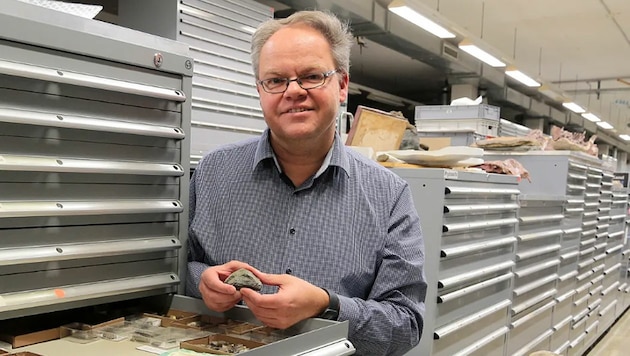Rainer Schoch vom Naturkundemuseum in Stuttgart hält das 240 Millionen Jahre alte Fossil in Händen. (Bild: Stuttgarter Naturkundemuseum)