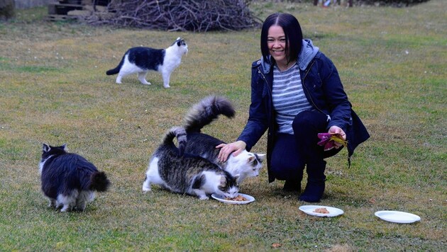 Liebevoll kümmern sich Bettina Zach und ihre Mutter Maria (unten) um zugelaufene Katzen. (Bild: Weber Franz)