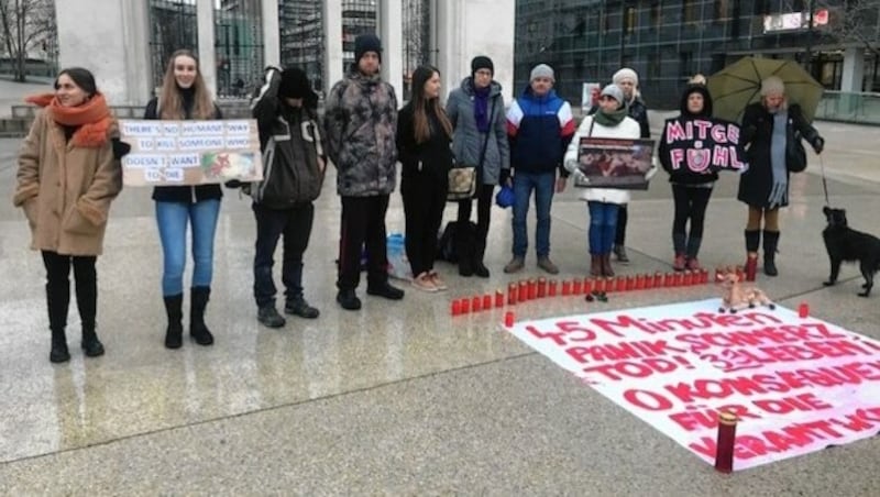 Demonstranten am Mittwochnachmittag vor dem Landhaus. (Bild: zVg)