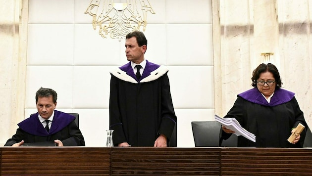 Verfassungsgerichtshof-Präsident Christoph Grabenwarter (Mitte) (Bild: APA/Hans Punz)