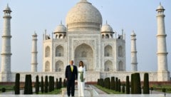 Die Trumps besuchen das Taj Mahal in Indien: Vor dem Besuch wurden streunende Affen eingefangen, auch Hunde und Kühe wurden von dem Gelände weggebracht. (Bild: AFP )