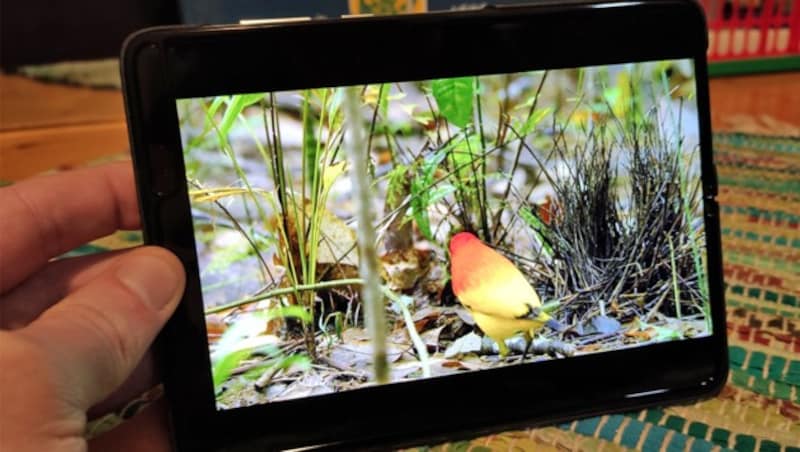 Das Display liefert eine scharfe Darstellung, schöne Farben, sattes Schwarz - und überstrahlt bei Farbdarstellung die Faltstelle in der Mitte einfach. (Bild: Dominik Erlinger)