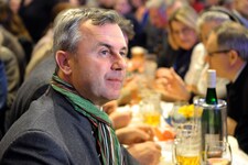 FPÖ-Chef Norbert Hofer (Bild: APA/MANFRED FESL)