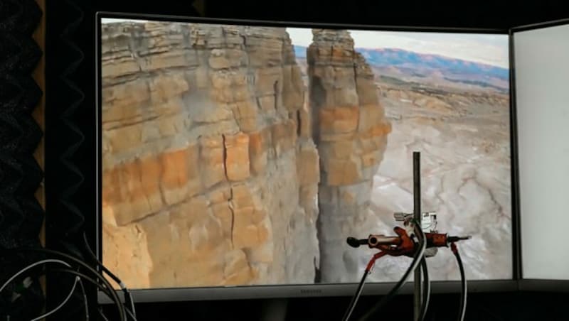 Heuschrecken bekommen einen Flugfilm vorgespielt, der einen realen Flug simulieren soll. (Bild: Uni Graz/Kernasenko)