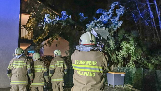 In Hallwang stürzten mehrere Bäume auf ein Haus. Der Einsatz dauerte bis in die Nacht. (Bild: Tschepp Markus)