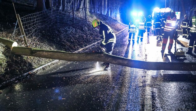 Die Feuerwehr in Schleißheim musste einen größeren Baum von der Straße entfernen. (Bild: Lauber/laumat.at Matthias)