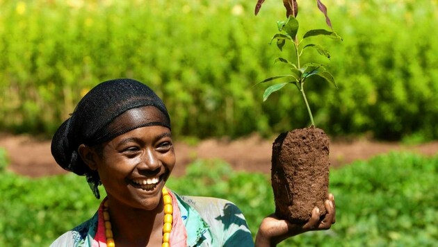 Das Projekt hilft z. B. in Äthiopien mit Saatgut, Setzlingen und Wissen um ökologisch angepasste Anbaumethoden vor Ort. (Bild: Christof Krackhardt / Brot für die Welt)