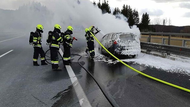 Feuerwehrleute bei der Brandbekämpfung (Bild: APA/FF LIGIST)