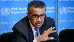 Tedros Adhanom Ghebreyesus, Direktor der Weltgesundheitsorganisation (WHO). (Bild: AFP)