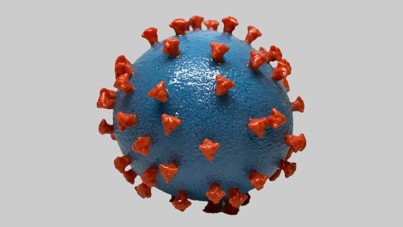 3D-Darstellung des Covid-Erregers SARS-CoV-2. Rot dargestellt sind die sogenannten Spike-Proteine. (Bild: NIAID-RML, krone.at-Grafik)