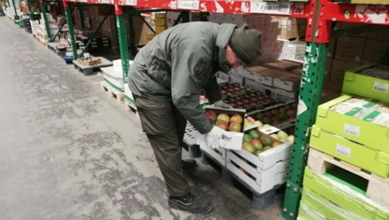 Auch Heeressportler waren in Zeiten der Corona-Krise im Einsatz. (Bild: Österreichisches Bundesheer)