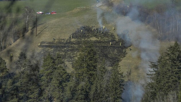Ein Waldbrand hielt in Pfons die Feuerwehr in Atem. (Bild: Zeitungsfoto.at/Team)