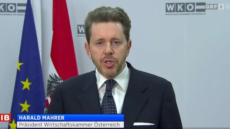 Harald Mahrer (Bild: Screenshot/ORF)