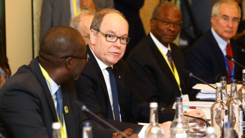 Fürst Albert von Monaco beim „WaterAid charity‘s Water and Climate“-Treffen in London (Bild: Tim P Whitby / PA / picturedesk.com)