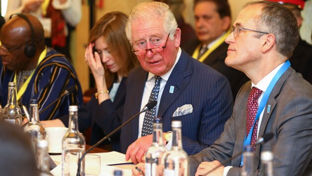 Prinz Charles beim „WaterAid charity‘s Water and Climate“-Treffen in London (Bild: Tim P Whitby / PA / picturedesk.com)