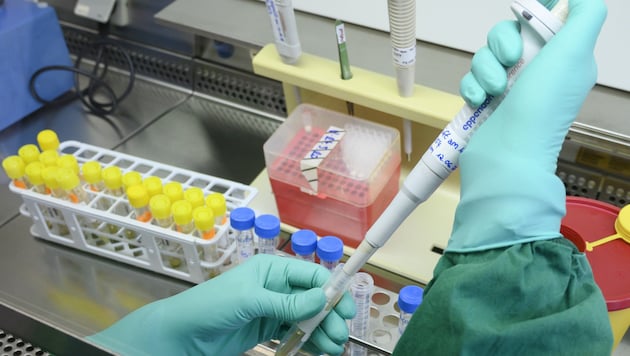 Bis zu 10.000 Analysen kann das Labor pro Tag durchführen. (Bild: AFP)