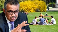 Tedros Adhanom Ghebreyesus, Direktor der WHO, richtet deutliche Worte an Jugendliche (Archivbilder). (Bild: AFP, APA/HERBERT NEUBAUER, krone.at-Grafik)