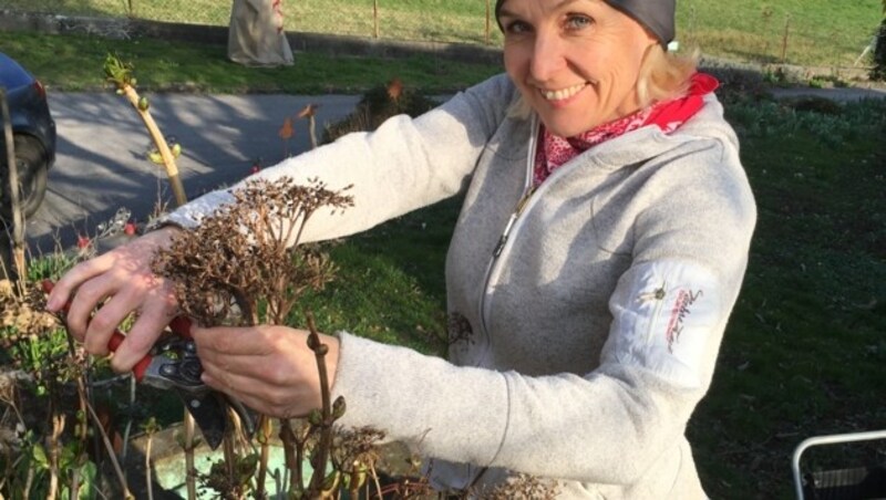 Heike Montiperle hat im Garten einiges zu tun. (Bild: zvg/Montiperle)