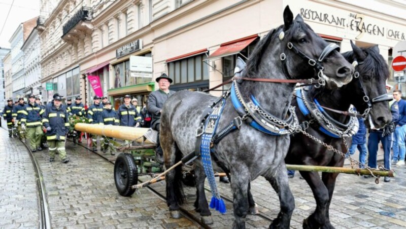 Im Vorjahr brachte ein Pferdegesapnn den Maibaum nach Linz. (Bild: © Harald Dostal)