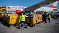 Zwei AUA-Maschinen mit 1,5 Millionen Atemschutzmasken und 450.000 Schutzanzügen aus China an Bord landeten in Wien-Schwechat. (Bild: APA/Georg Hochmuth)