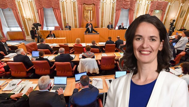 Landtagsabgeordnete Regina Aspalter wurde positiv getestet. (Bild: © Harald Dostal)